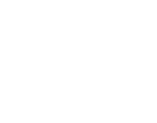 FTI Air (Logo)
