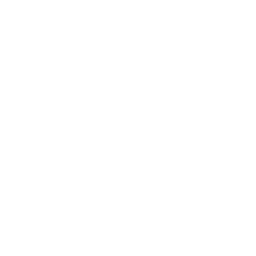 Industrial General (Icon)