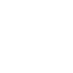 Bombas de Engranajes (Icon)