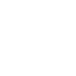 Bombas de Diafragma (Icon)