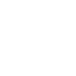 Nuestra Misión (Icon)